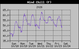 1 Week Wind Chill Graph