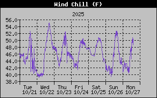 1 Week Wind Chill Graph