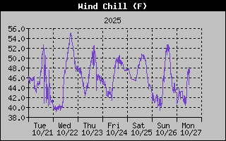 1 Week Wind Chill Graph
