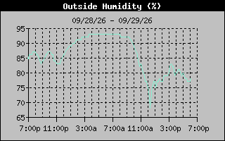 1 Day Humidity Graph