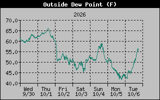 1 Week Dew Point Graph
