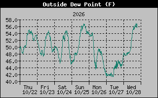 1 Week Dew Point Graph