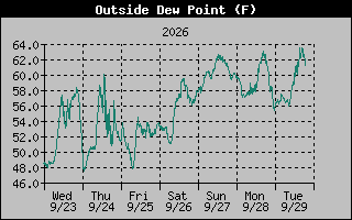 1 Week Dew Point Graph