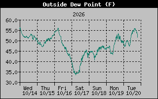 1 Week Dew Point Graph
