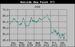 1 Week Dew Point Graph