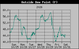 1 Week Dew Point Graph