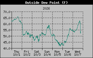 1 Week Dew Point Graph