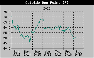 1 Week Dew Point Graph
