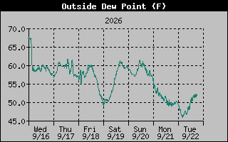 1 Week Dew Point Graph