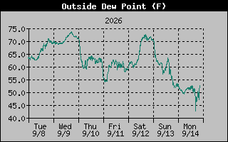 1 Week Dew Point Graph