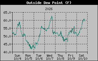 1 Week Dew Point Graph