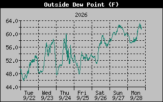 1 Week Dew Point Graph