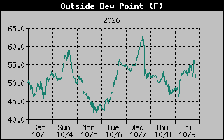 1 Week Dew Point Graph