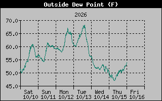 1 Week Dew Point Graph