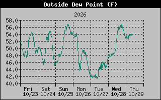 1 Week Dew Point Graph