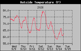 1 Week Temperature Graph