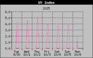 Temperature Graph
