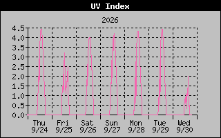Temperature Graph