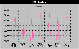 Temperature Graph