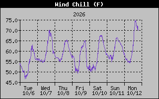 Wind Chill Graph