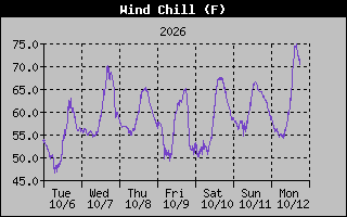 1 Week Wind Chill Graph