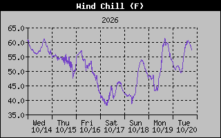 1 Week Wind Chill Graph