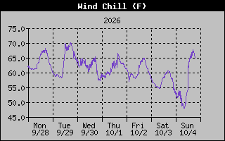 1 Week Wind Chill Graph