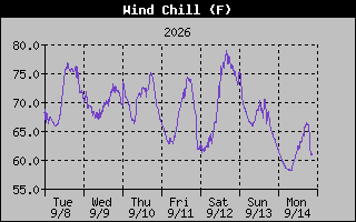 Wind Chill Graph