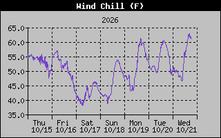 Wind Chill Graph