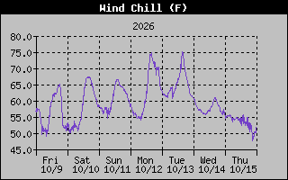 1 Week Wind Chill Graph