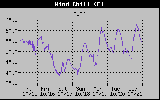 1 Week Wind Chill Graph