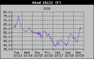 1 Week Wind Chill Graph