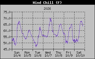 1 Week Wind Chill Graph