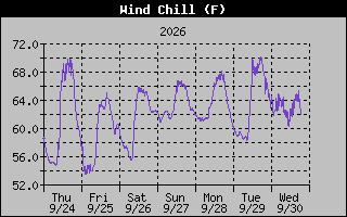 1 Week Wind Chill Graph