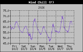 1 Week Wind Chill Graph