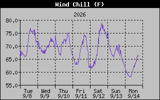 1 Week Wind Chill Graph