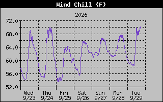 1 Week Wind Chill Graph