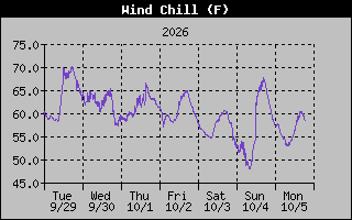 Wind Chill Graph