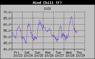 1 Week Wind Chill Graph